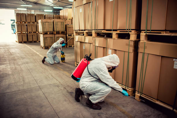 Best Local Pest Control Services  in Closter, NJ