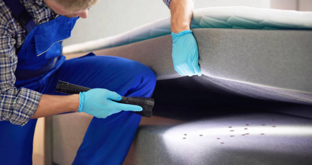 Best Emergency Pest Control  in Closter, NJ