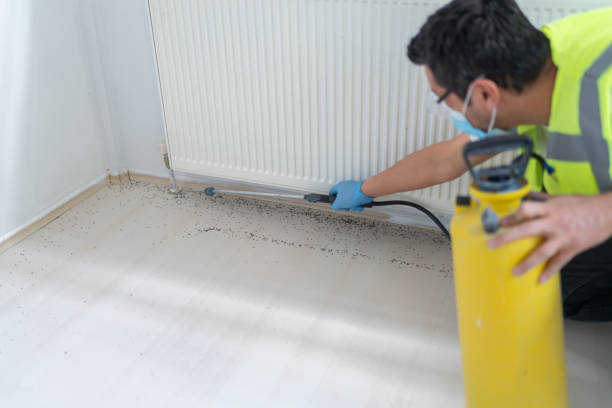 Best Bed Bug Extermination  in Closter, NJ